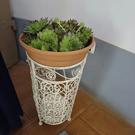 La Casina Del Borgo Appartamento